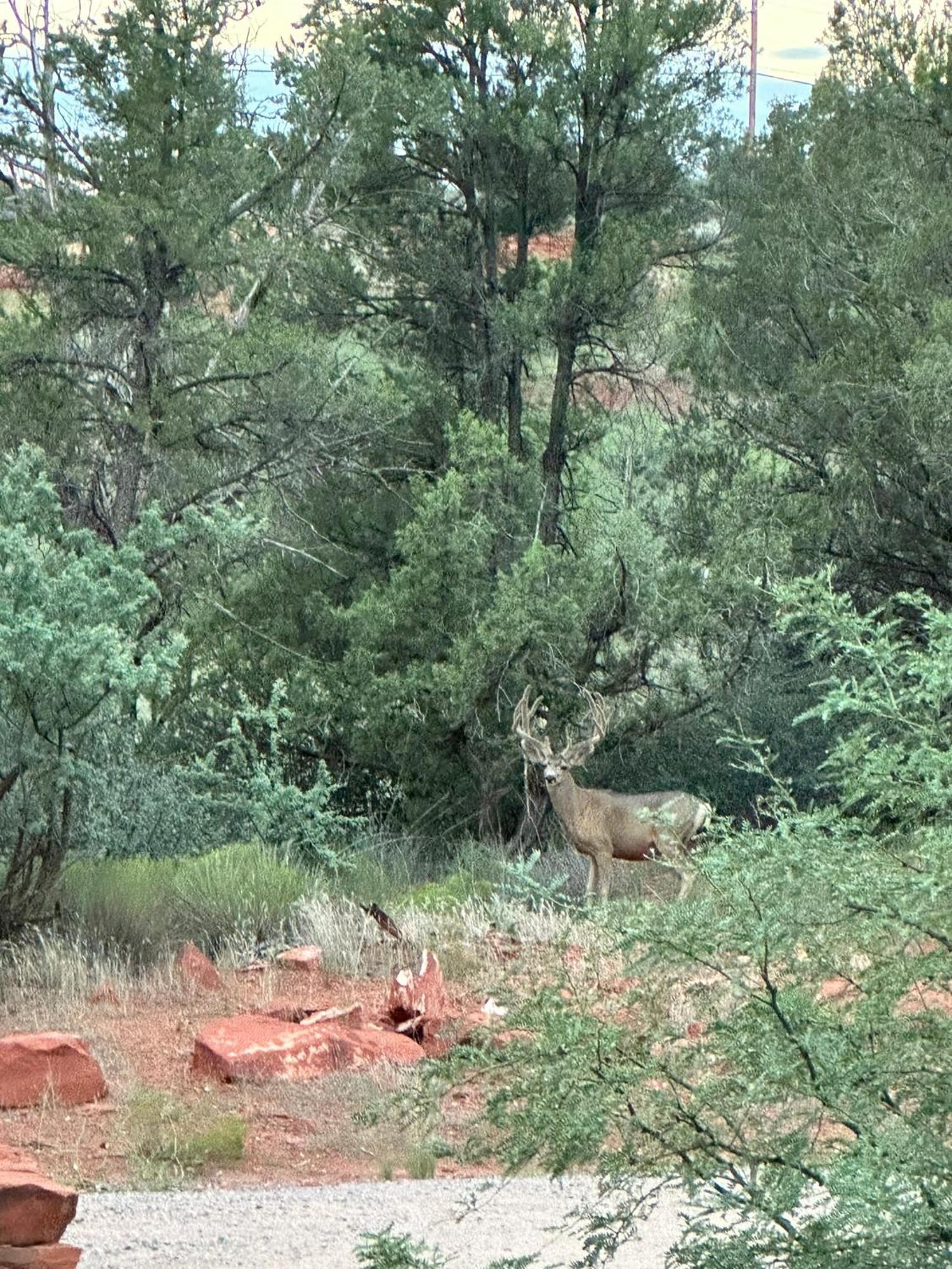 Sedona Cathedral Hideaway B&B And Casita Екстер'єр фото